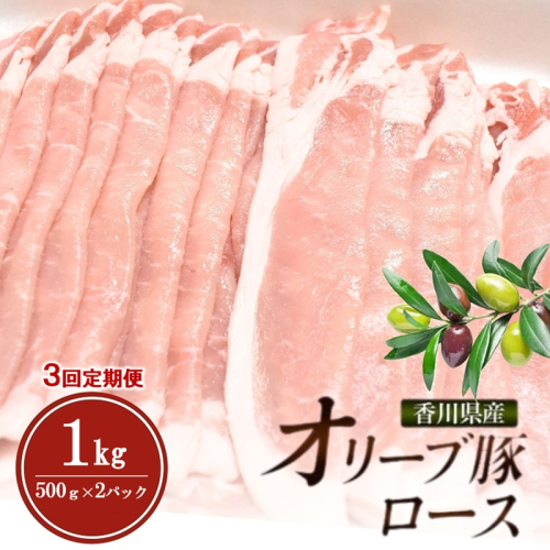 【3回定期便 連続お届け】香川県産オリーブ豚ロース1kg(500g×2p) 豚肉 肉 お肉 香川 香川県 東かがわ市 2679700 - 香川県東かがわ市