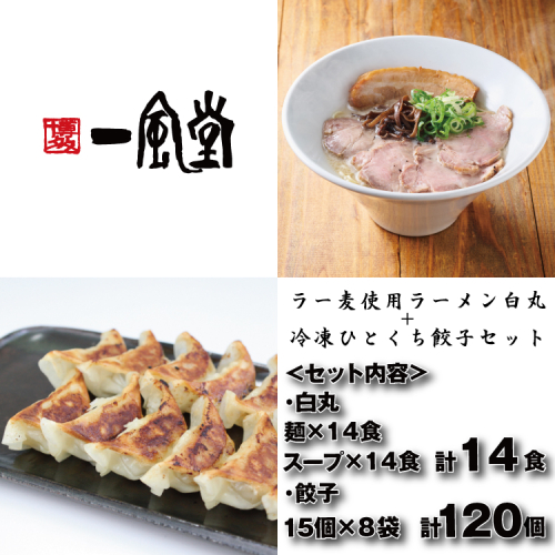 B449.【一風堂】白丸ラー麦麺14食とひとくち餃子8袋セット【豚骨ラーメン】 2679757 - 福岡県新宮町