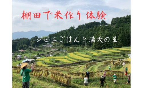 棚田で米作り体験 一般用 （参加チケット1回分） 2679767 - 和歌山県那智勝浦町