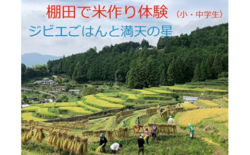 棚田で米作り体験 小・中学生用 （参加チケット1回分） 2679768 - 和歌山県那智勝浦町