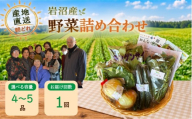 産地直送 朝どれ 新鮮野菜 4～5種類 詰め合わせ セット おまかせ 旬 季節の野菜 春野菜 夏野菜 秋野菜 冬野菜 根菜 ネギ 白菜 トマト 玉ねぎ ほうれん草 キャベツ ブロッコリー ナス 太陽と水と土 自然の恵みをたっぷり浴びた野菜 宮城県 岩沼産