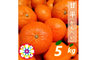 【先行受付】愛咲果樹園「甘平」約5kg【71-64】YWTS049