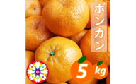 【先行受付】愛咲果樹園「ポンカン」約5kg【71-63】YWTS051
