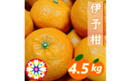 【先行受付】愛咲果樹園「伊予柑」約4.5kg【71-60】YWTS054