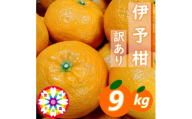 【先行受付】愛咲果樹園「伊予柑」訳あり 約9kg【71-72】YWTS055