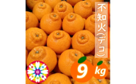 【先行受付】愛咲果樹園「不知火 ( デコ )」約9kg【71-59】YWTS058