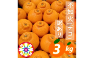 【先行受付】愛咲果樹園「不知火 ( デコ )」訳あり 約3kg【71-71】YWTS059