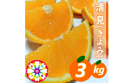 【先行受付】愛咲果樹園「清見」約3kg【71-58】YWTS060