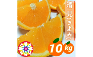 【先行受付】愛咲果樹園「清見」約10kg【71-57】YWTS061