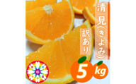 【先行受付】愛咲果樹園「清見」訳あり 約5kg【71-50】YWTS062