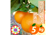 【先行受付】愛咲果樹園「プリンセス(愛果48号)」 紅プリンセスと同品種 訳あり 約5kg【71-49】YWTS063