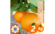 【先行受付】愛咲果樹園「プリンセス(愛果48号)」 紅プリンセスと同品種 約2kg【71-48】YWTS064