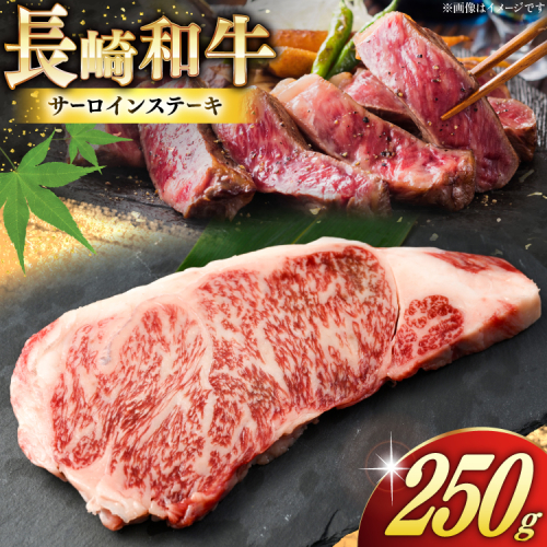 AK023 長崎和牛 サーロイン ステーキ 250g [ 牛肉 肉 和牛 ステーキ ロース サーロインステーキ BBQ バーベキュー 焼肉 アウトドア 長崎県 島原市 ] 2680134 - 長崎県島原市