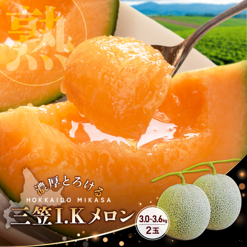 《2026年分受付中！7/2締め切り》【SDGS】I.Kメロン（２玉入）【01302】 2680164 - 北海道三笠市