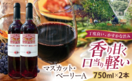 マスカット・ベーリーA 2本 750ml×2 赤ワイン 国産 島根県雲南市/有限会社奥出雲葡萄園 [AICS126]