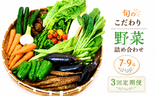 【先行予約】 【3回定期便】 朝採れ新鮮！ 野菜セット(7～9品) | 野菜セット 新鮮 野菜 人気 季節の野菜 数量限定 おすすめ キャベツ きゅうり 里芋 大根 トマト セット 詰め合わせ 森尾商店 高知県 南国市 2680283 - 高知県南国市