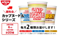【頒布会6か月】日清　カップヌードルシリーズ2種20個（各10食）