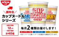 【頒布会12か月】日清　カップヌードルシリーズ2種40個（各20食）