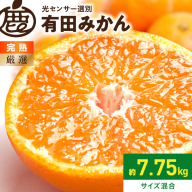 《2026年11月上旬～2027年1月下旬頃に順次発送》【2026年先行予約】厳選 完熟有田みかん約7.5kg+250g（傷み補償分）【光センサー選果】_ZH7060