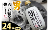 ソーダ 男のちょい割る強ソーダ 300ml × 24本 [翔栄通商 静岡県 吉田町 22424712] 炭酸 炭酸飲料 強炭酸 瓶 そーだ 木村飲料