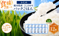 【定期便12回】栃木県産こしひかり パックごはん かため | コシヒカリ こしひかり パックごはん パックライス 非常食 国産 栃木県 真岡市