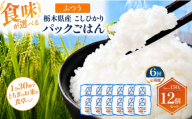【定期便6回】栃木県産こしひかり パックごはん ふつう | コシヒカリ こしひかり パックごはん パックライス 非常食 国産 栃木県 真岡市