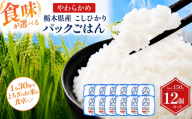 栃木県産こしひかり パックごはん やわらかめ | コシヒカリ こしひかり パックごはん パックライス 非常食 国産 栃木県 真岡市