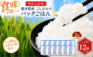 [定期便2回]栃木県産こしひかり パックごはん やわらかめ | コシヒカリ こしひかり パックごはん パックライス 非常食 国産 栃木県 真岡市