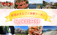 新温泉まるごと満喫クーポン(6,000円分)