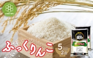 北海道七飯町産 ふっくりんこ 精米 計10kg（5kg×2袋）  特Aランク  白米 米農家応援