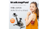 WalkingPad Sprint Bike｜エアロバイク フィットネス ダイエット 運動 [1441]