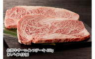 佐賀牛サーロインステーキ 400g （スパイス付き） 156-J2000