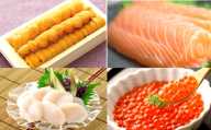 E-40033 エゾバフンウニ100g×1折、いくら醤油漬け(鱒卵)100g×1P、お刺身ホタテ貝柱300g×1P、お刺身サーモン300g～500g(1～3本)[11月下旬以降発送]