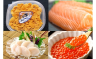 E-40034 エゾバフンウニ塩水パック100g×1P、いくら醤油漬け(鱒卵)100g×1P、お刺身ホタテ貝柱300g×1P、お刺身サーモン300g～500g(1～3本)[11月下旬以降発送]