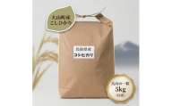 大山町産こしひかり【大山の一粒】5ｋｇ（白米）