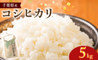 コシヒカリ 米 お米 5kg 令和8年産 新米 国産 国産米 コメ おこめ ご飯 ごはん しんまい ※ kome okome 千葉県産 白米 ライス おにぎり おむすび 千葉県産米 お取り寄せ グルメ ギフト 日用品 贈答 贈り物 グルメ こだわり 非常食 常備食 防災 弁当 料理 朝ご飯 夜ごはん 送料無料 ふるさと納税 ふるさと納税米 ふるさと納税お米 銚子 千葉県 銚子市 サンズファーム