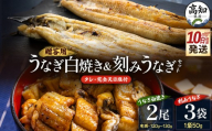 【10日程度で発送】贈答用 高知県産鰻の白焼き120～130ｇ2尾 刻み鰻50ｇ×3袋 蒲焼きのタレ5袋 天日塩20ｇ yw-0130