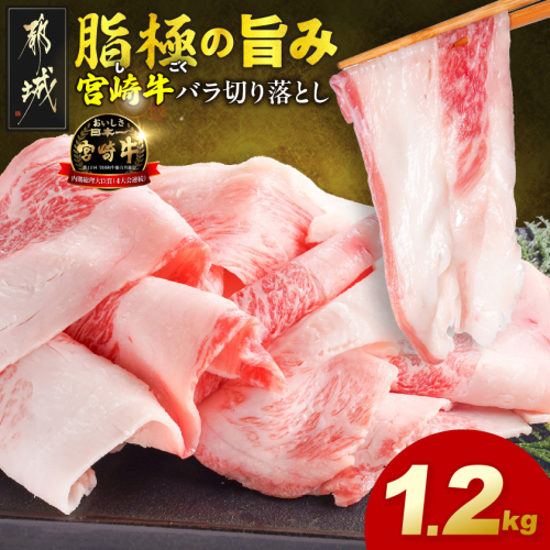宮崎牛バラ切り落とし1.2kg_12-N2-019-1200g 2683228 - 宮崎県都城市