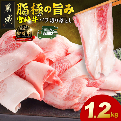 宮崎牛バラ切り落とし1.2kg≪みやこんじょ快急便≫_12-N2-019-1200g-R 2683229 - 宮崎県都城市