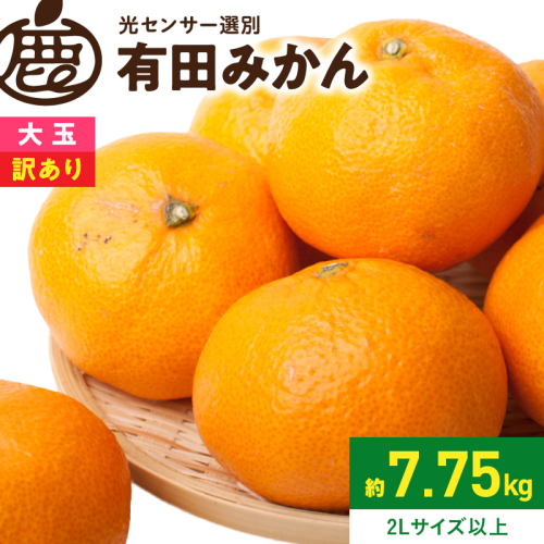 《2026年11月上旬～2027年1月下旬頃順次発送》【2026年先行予約】家庭用 大きな有田みかん約7.5kg+250g（傷み補償分）【わけあり・訳あり】【光センサー選果】_ZH7118 2683248 - 和歌山県湯浅町