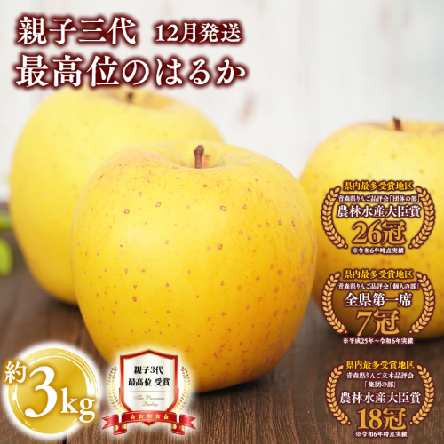 ≪12月発送≫ 親子三代最高位のはるか 約3kg 【青森県 平川市 釈迦のりんご園】 2683256 - 青森県平川市
