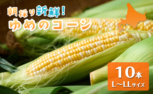 【2026年夏出荷】富良野産 とうもろこし ゆめのコーン 10本 (約5kg) L～LLサイズ 野菜 新鮮 直送 コーン とうきび 道産 北海道 幕田農園 2683257 - 北海道富良野市