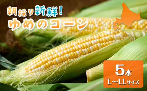 【2026年夏出荷】富良野産 とうもろこし ゆめのコーン 5本 L～LLサイズ 野菜 新鮮 直送 コーン とうきび 道産 北海道 幕田農園 2683258 - 北海道富良野市