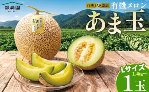 【期間限定】有機メロン「あま玉」1玉 Lサイズ 1.4kg～【R8年7月15日より順次発送】 2683271 - 奈良県宇陀市