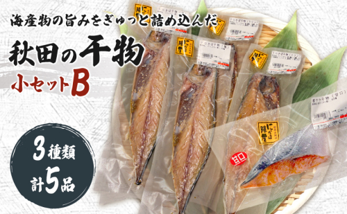 干物小セットB 5品 ＜トロさば（塩）×2 トロさば（みりん）×2 鮭（甘口)×1＞【 にかほ市 干物 干し物 魚 贈り物 晩御飯 おつまみ 冷凍 保存 】 2683276 - 秋田県にかほ市