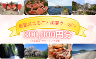 新温泉まるごと満喫クーポン(300,000円分)　300,000×1枚