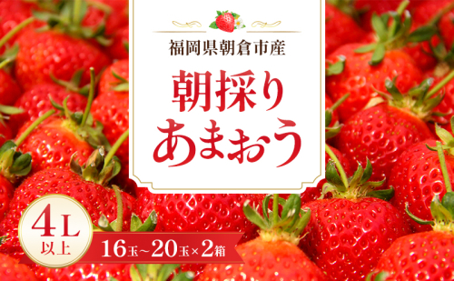 いちご 朝倉市産 あまおう 4L以上 16玉～20玉×2箱 イチゴ 苺 果物 デザート ※配送不可：離島 2683394 - 福岡県朝倉市