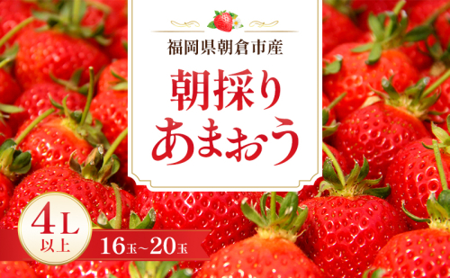 いちご 朝倉市産 あまおう 4L以上 16玉～20玉 イチゴ 苺 果物 デザート ※配送不可：離島 2683395 - 福岡県朝倉市