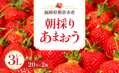 いちご 朝倉市産 あまおう L～3L 20玉×2箱 イチゴ 苺 果物 デザート ※配送不可：離島 2683396 - 福岡県朝倉市