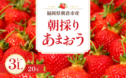 いちご 朝倉市産 あまおう L～3L 20玉 イチゴ 苺 果物 デザート ※配送不可：離島 2683397 - 福岡県朝倉市